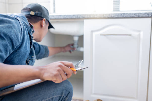 Best Affordable Plumbing Services  in Christopher, IL